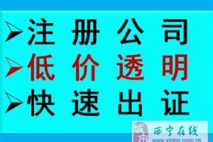 上海AI招标代理工具大起底：从翻烂档案到躺着中标，就差这一步