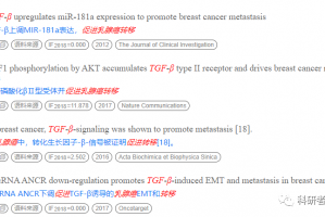 从对话到写作：2026年AI对话与AI写作助手技术全景解析（2026年4月10日）